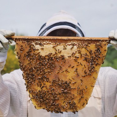 The Importance of Buying Local Honey
