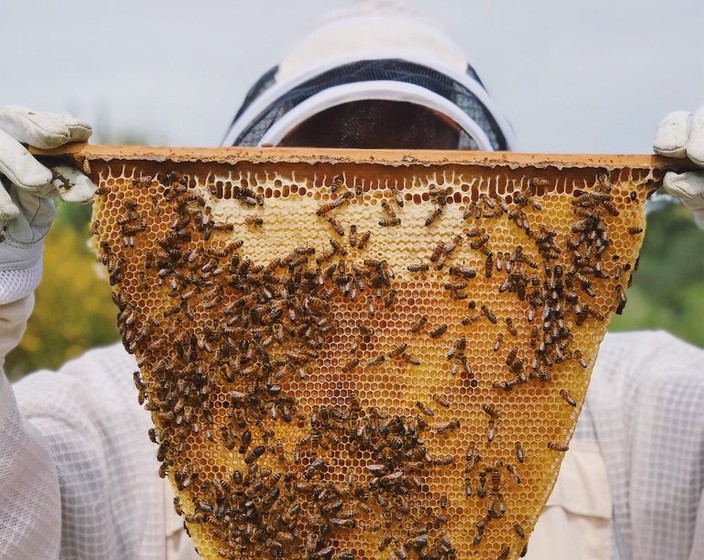 The Importance of Buying Local Honey