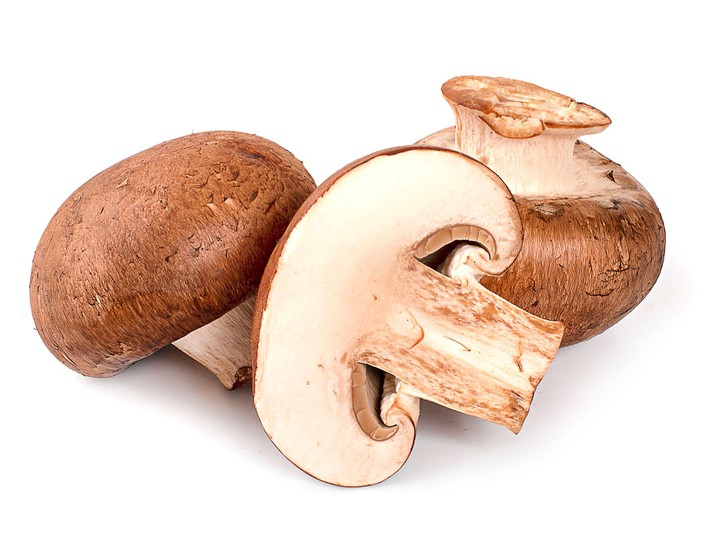 14 Popular Types Of Mushrooms And What To Cook With Them - SideChef