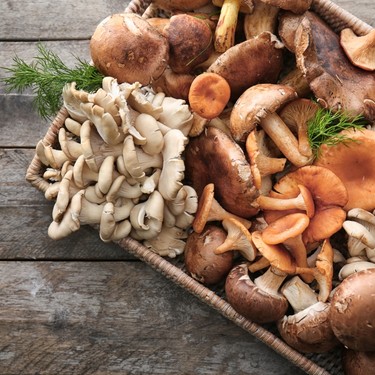 Delicious Ways to Cook with Mushrooms