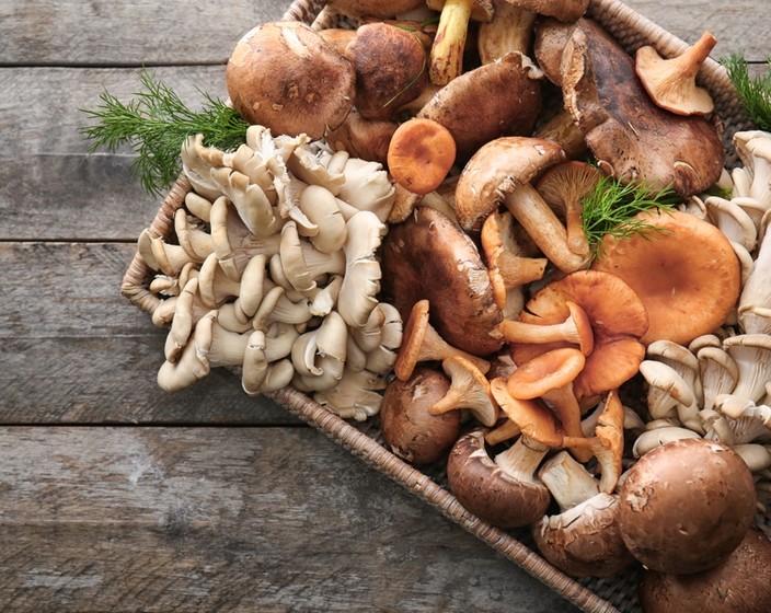 Delicious Ways to Cook with Mushrooms