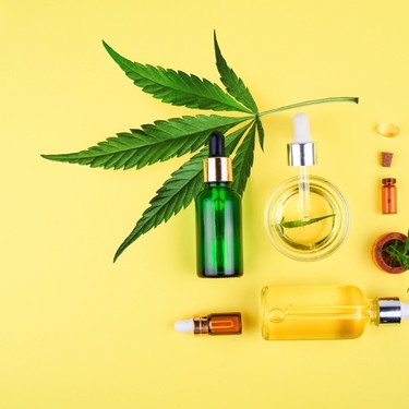 How to Incorporate CBD into your Everyday Life