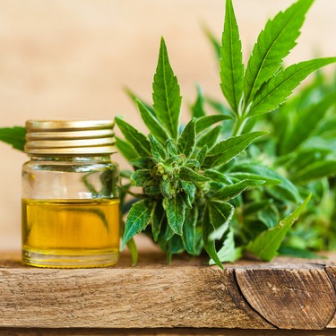 CBD Tops 2019 Food Trends