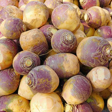 January Greenmarket and the Rutabaga