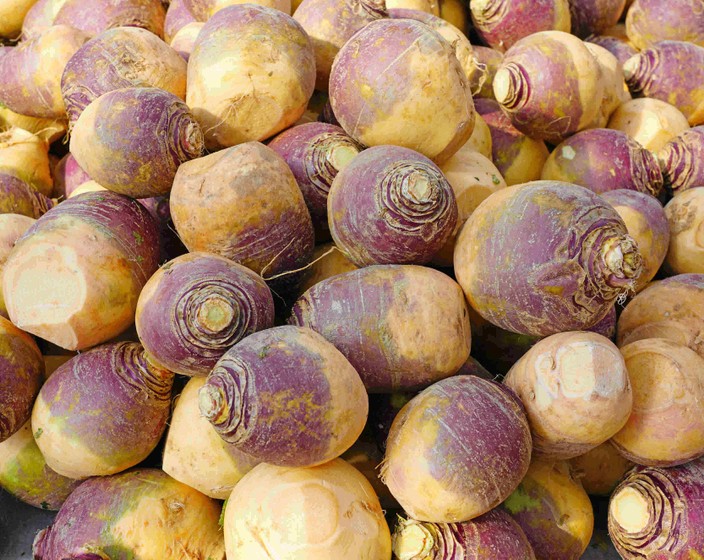 January Greenmarket and the Rutabaga