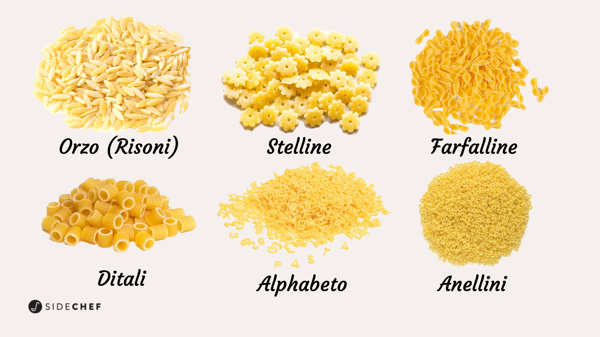 Best 15 Short Pasta Shapes and Their Uses - Familystyle Food