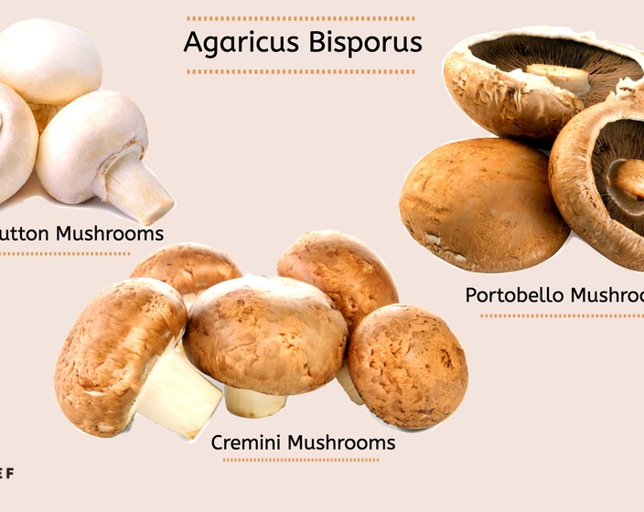 What Are Cremini Mushrooms? How to Pick, Prep, and Cook Them - SideChef