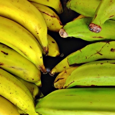 Are Plantains Just Green Bananas? The Answer Might Surprise You