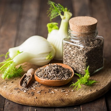 Seasonal Ingredient: Fennel