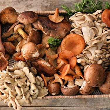 14 Popular Types Of Mushrooms And What To Cook With Them