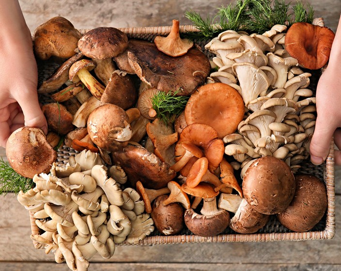 14 Popular Types Of Mushrooms And What To Cook With Them