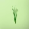 Fresh Chives