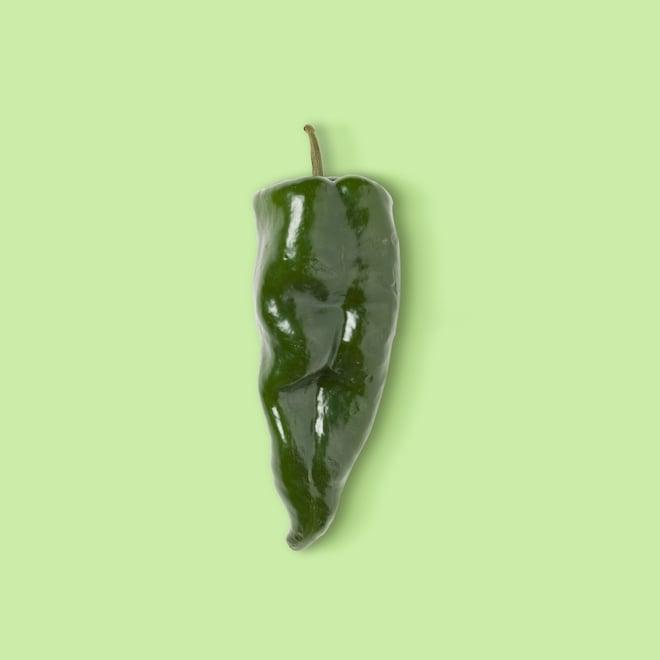 Poblano Pepper