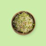 Broccoli Sprouts