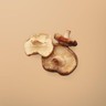 Dried Shiitake Mushroom