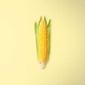 Corn Cob