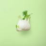 Fennel Bulb