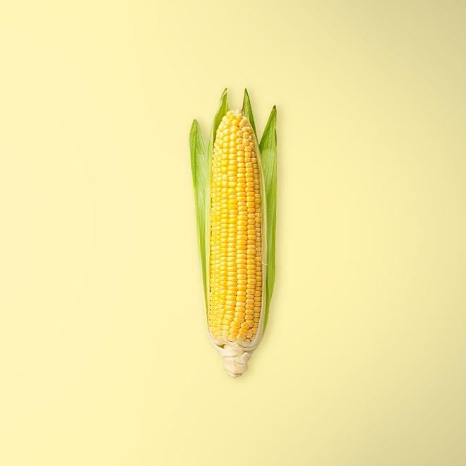 Corn