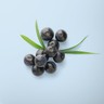 Juniper Berries