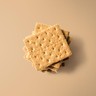 Graham Cracker Crumbs