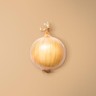 Spanish Onion