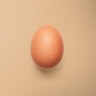 Organic Egg