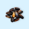 Fresh Mussels