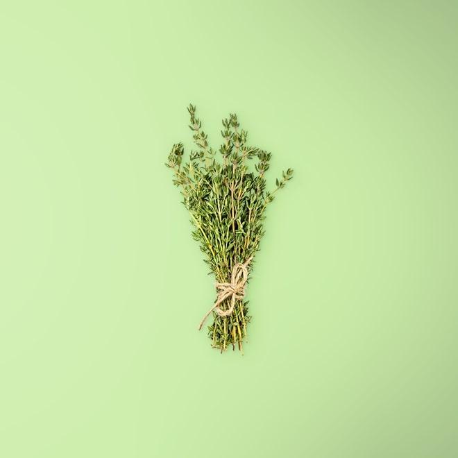 Thyme