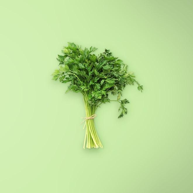 Parsley