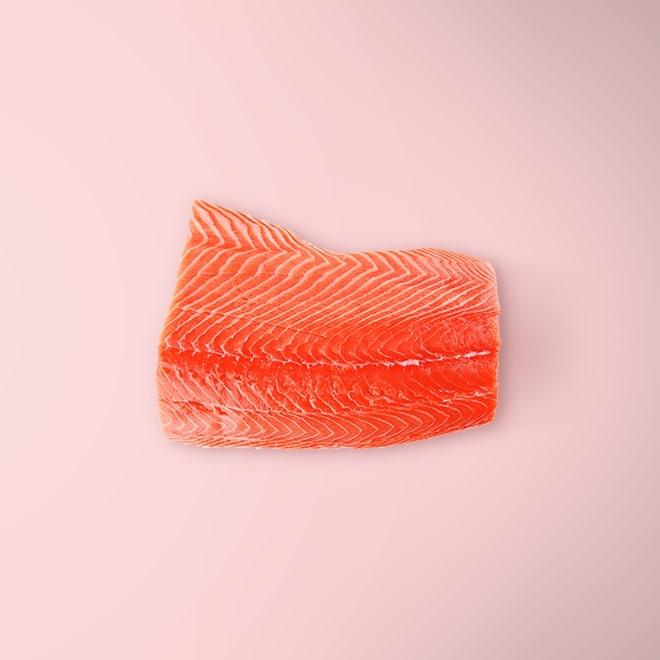 Salmon