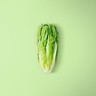 Romaine Heart