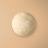 Large Pizza Dough