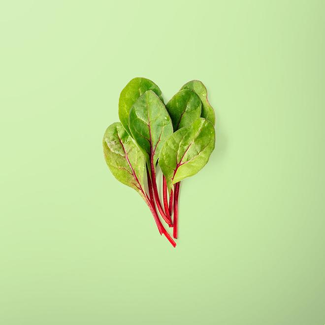 Swiss Chard