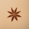 Star Anise