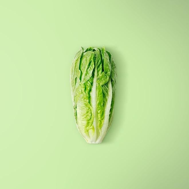 Romaine Lettuce