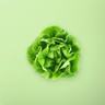 Butter Lettuce