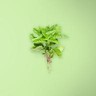 Thinly Sliced Fresh Basil