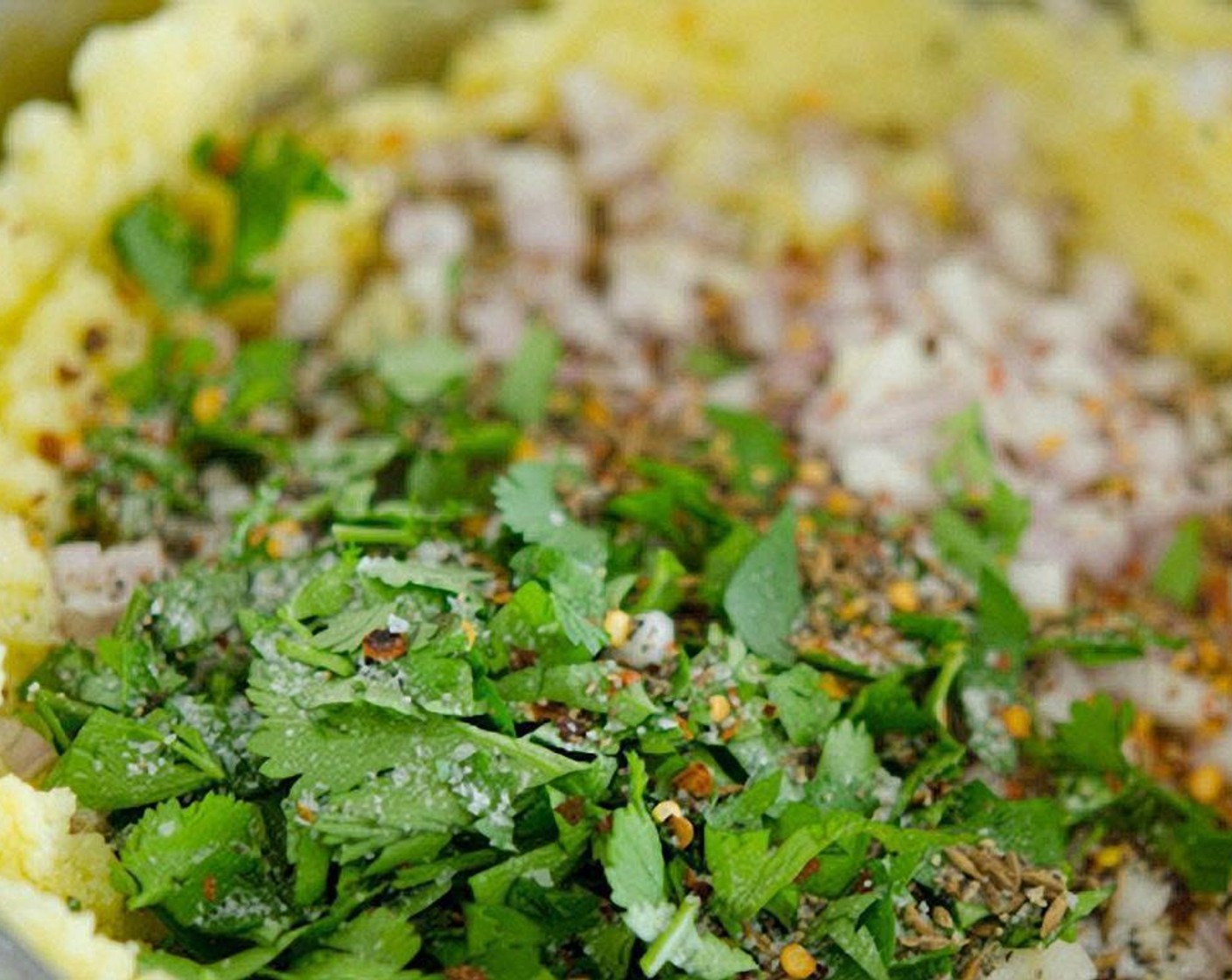 step 4 Add the cumin seeds, Shallots (2), Crushed Red Pepper Flakes (1/2 tsp), and Fresh Cilantro (1 bunch), Salt (to taste) and Ground Black Pepper (1/2 tsp) to taste.