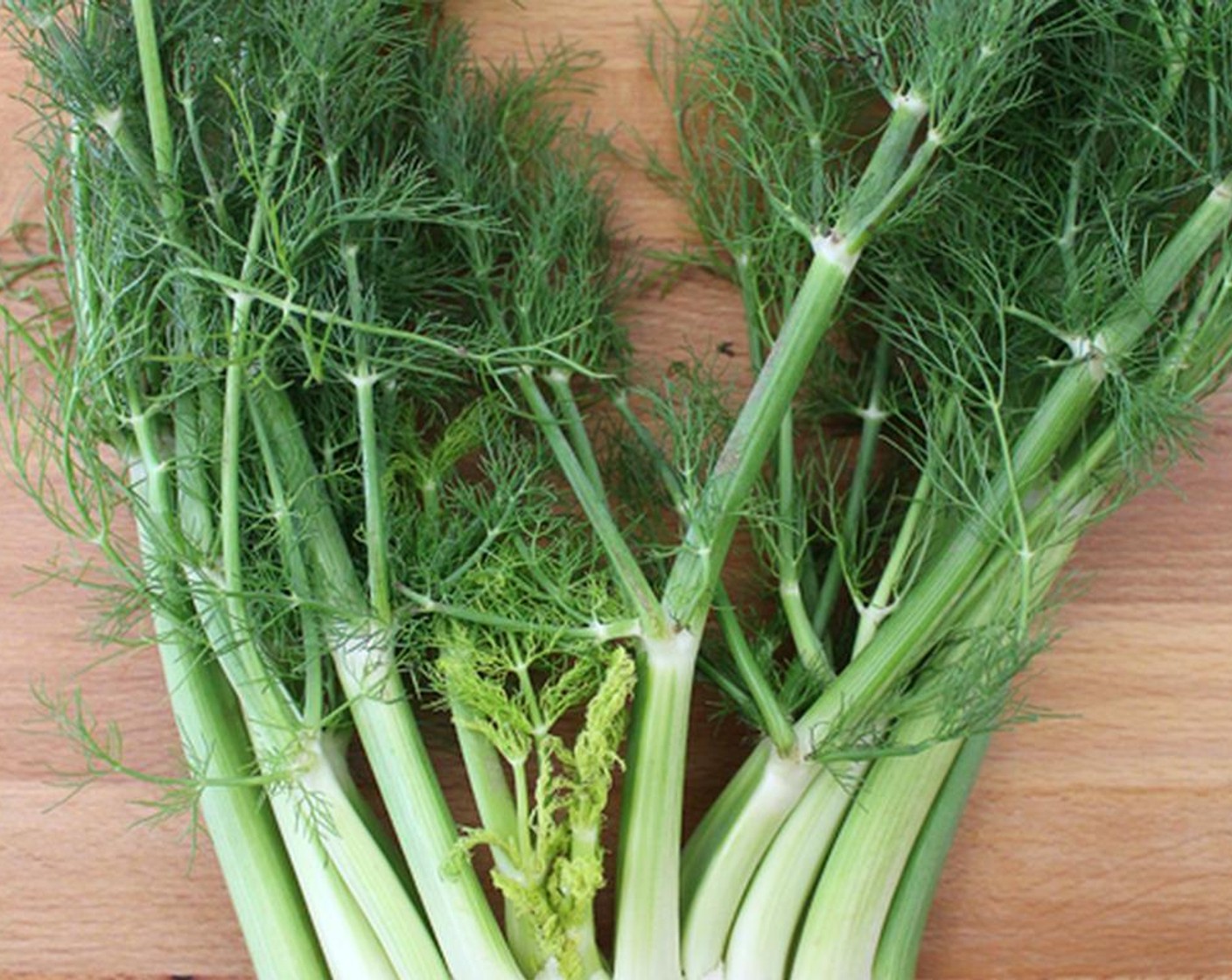 step 2 Add thinly sliced Fennel Bulbs (to taste) and Carrots (to taste), Summer Squash (to taste), Garlic (1 clove), Cayenne Pepper (to taste), Salt (to taste), Ground Black Pepper (to taste), and torn Fennel Leaves (to taste). Cook for 2 to 3 more minutes.