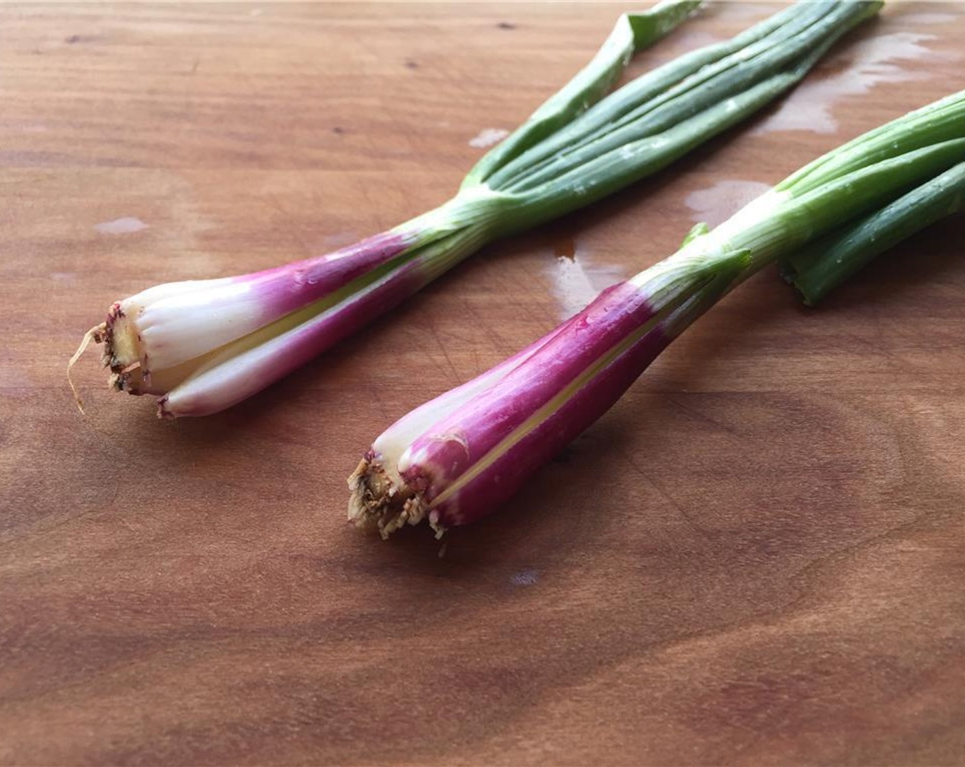 step 3 Take two of the Scallion (1 bunch) and slice the base into quarters.