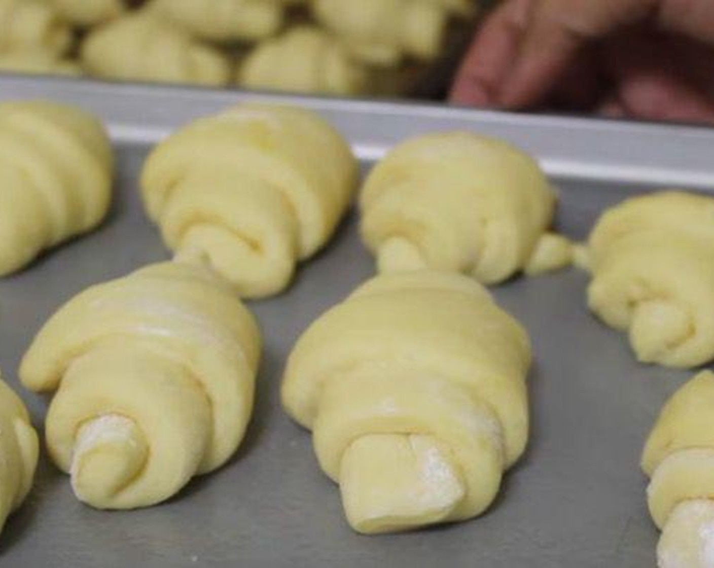 step 5 Roll up each triangle, starting from the outer edge. Transfer them to a lightly greased baking tray. Cover with a dish towel and let rise for 30-45 minutes.