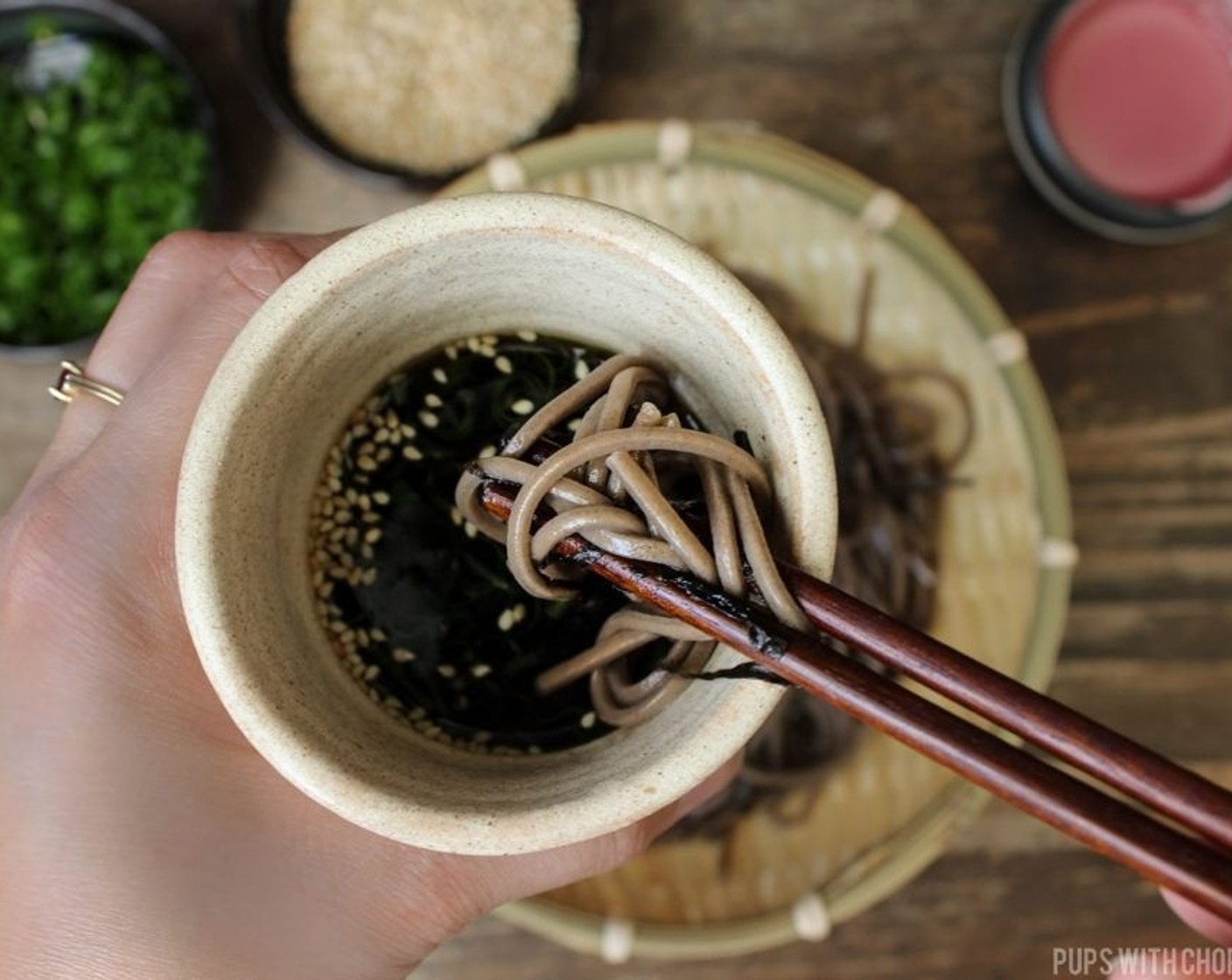 step 10 Pour the dipping sauce into small cups or bowls, and if desired add Toasted White Sesame Seeds (1 Tbsp) and serve the soba noodles with Daikon Radishes (1 1/2 Tbsp), Wasabi Paste (1 tsp), and Fresh Ginger (1/2 Tbsp).