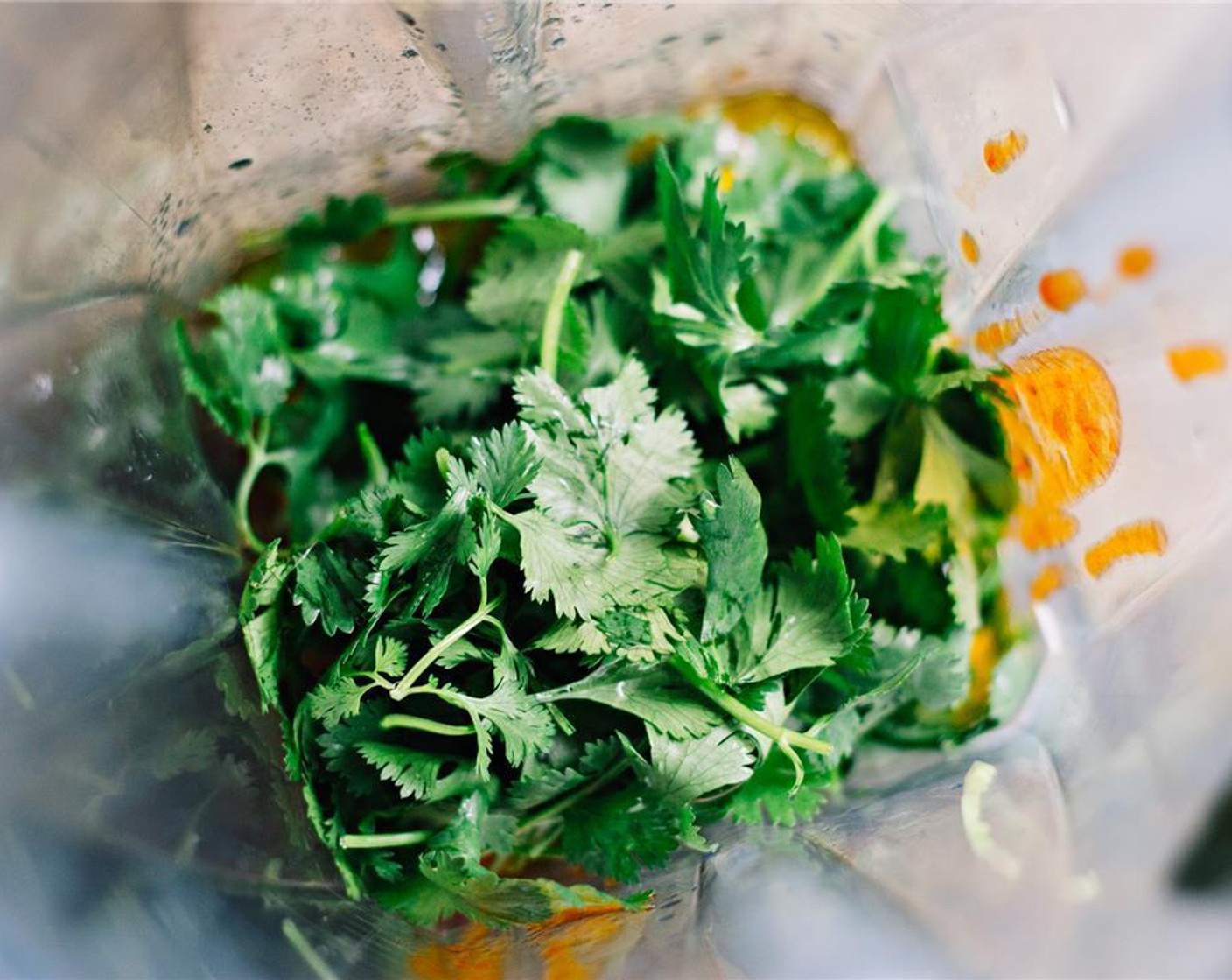 step 2 Combine the zest and juice of the lime, Olive Oil (1/2 cup), Honey (1 tsp), Chipotle Peppers in Adobo Sauce (1) (plus 1 tsp liquid from the can), Salt (1 tsp), Water (2 Tbsp), Garlic, and Fresh Cilantro (1/2 cup) in a blender or food processor.