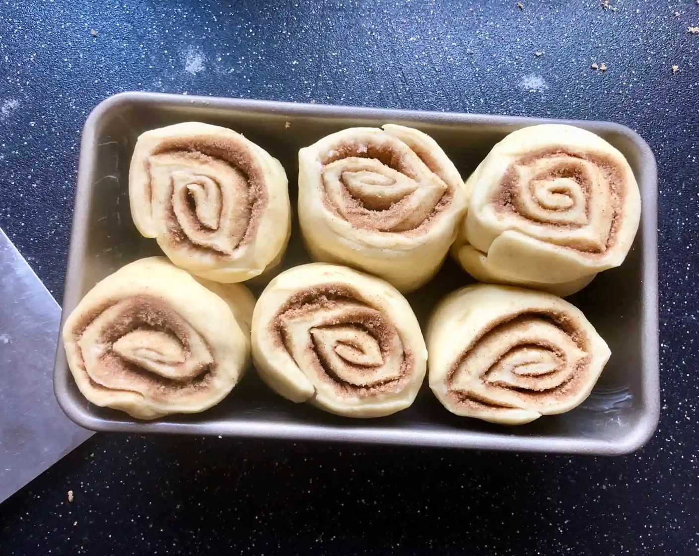 step 8 Cut the log into 6 rolls and place them cut side up in the prepared loaf pan. Cover and let rise 45 minutes to 1 hour in a warm place or overnight in the fridge. Be sure to bring the dough to room temperature before baking.