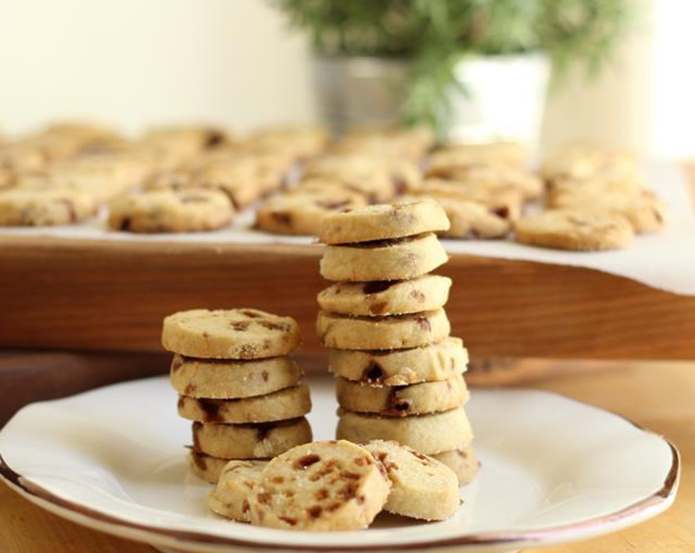 Lavender Burnt Sugar + Meyer Lemon Shortbread