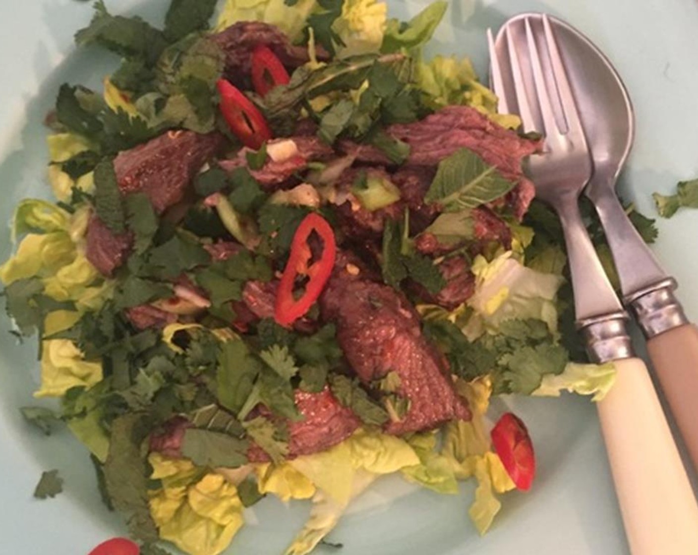 step 8 Top with the Fresh Cilantro (to taste) and Fresh Mint Leaves (to taste), and a few slices of red chilli. Enjoy!