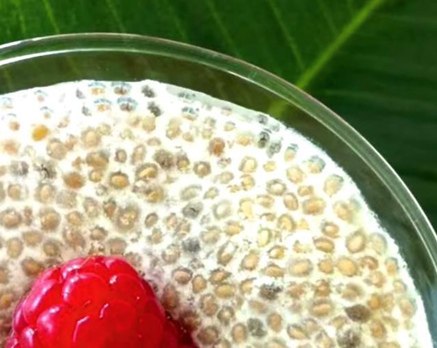 Vanilla Chia Pudding