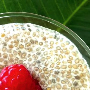 Vanilla Chia Pudding Recipe | SideChef