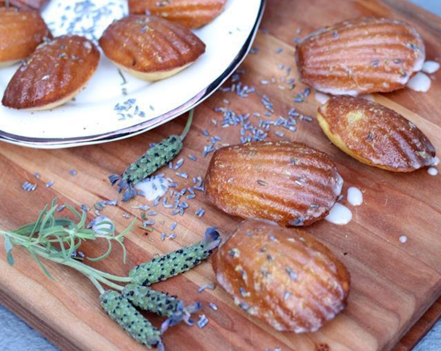 Honey Lavender Madeleines