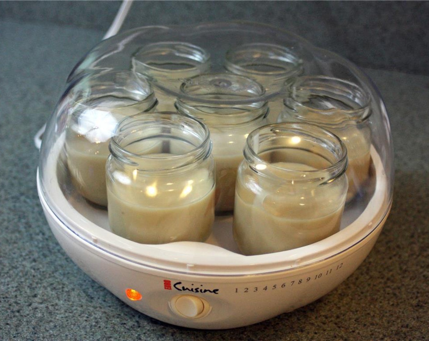 step 8 Add the Vegan Yogurt Starter (1 pckg) to the milk mixture once it reaches 105 degrees F (40 degrees C). Mix well then divide into your yogurt jars and place into the yogurt maker (with the lids off) for 7-9 hours.
